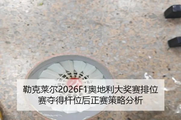 lei-ke-lai-er-ao-di-li-da-jiang-sai-pai-wei-sai-duo-de-gan-wei-hou-zheng-sai-ce-lve-fen-xi-2-234.jpg