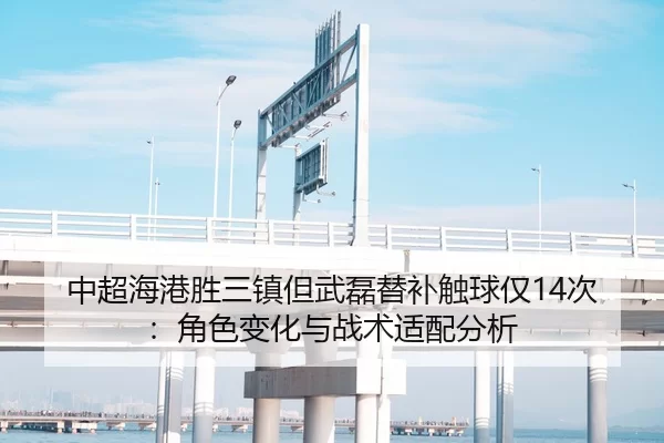 中超海港胜三镇但武磊替补触球仅14次：角色变化与战术适配分析